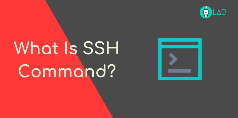 Secure Shell Scripts (SSH)